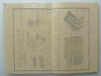 小學生理書　図共全４冊
