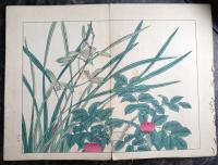 四季の花　秋之部　参