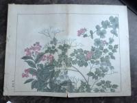 四季の花　秋之部　参