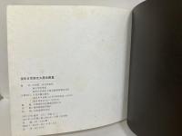 (中)侵華日軍南京大屠殺図集