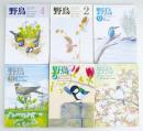 野鳥　通巻500～560号　61冊