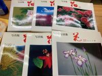 写真集　花　19～28　「別冊趣味の山野草」