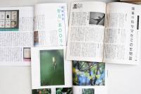 野鳥　通巻500～560号　61冊