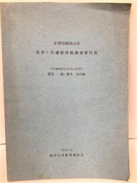京都府福知山市武者ケ谷遺跡発掘調査報告書