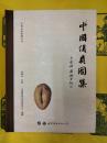 中国貨貝図集