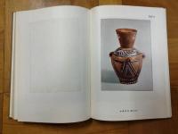 大汶口：新石器時代墓葬発掘報告