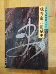 魏晋南北朝賦史（中国文体断代文学史）
