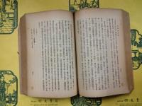 漢語語法論