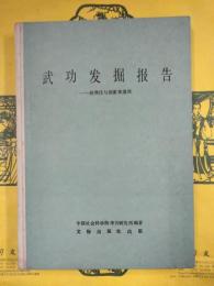 武功発掘報告：滸西庄与趙家来遺址（中国田野考古報告集考古学専刊丁種第三十三号）