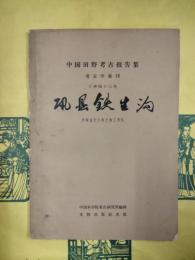 鞏県鉄生溝（中国田野考古報告集考古学専刊丁種第十三号）