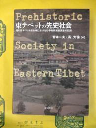東チベットの先史時代：四川省チベット自治州における日中共同発掘調査の記録