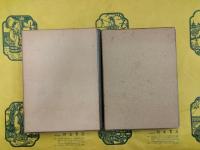 新発現中国科学史資料の研究（論考篇・訳注篇）