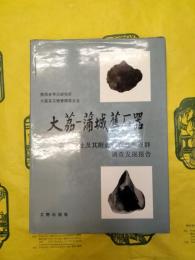 大荔―蒲城旧石器：大荔人遺址及其附近旧石器地点群調査発掘報告