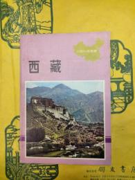 西蔵(中国知識叢書)