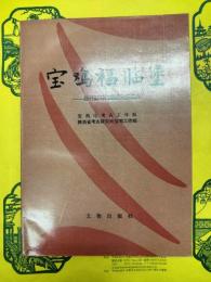 宝鶏福臨堡：新石器時代遺址発掘報告