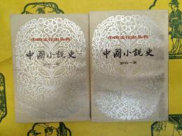 中国小説史（中国文化史叢書）（上下）