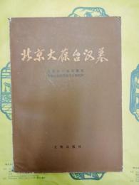 北京大葆台漢墓（中国田野考古報告集・考古学専刊丁種第三十五号）