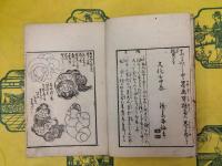 略画早学三編