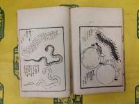 略画早学三編