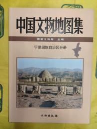中国文物地図集 寧夏回族自治区分冊(附DVD-ROM)