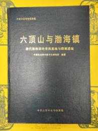 六頂山与渤海鎮：唐代渤海国的貴族墓地与都城遺址(中国田野考古報告集・考古学専刊丁種第五十六号)