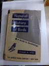 Naturul　History of Birrds