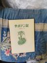 サボテン記