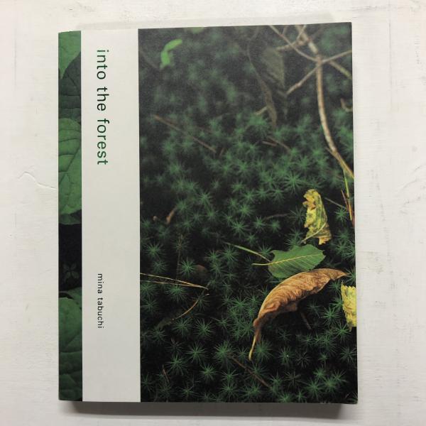 mina tabuchi｜into the forest | WHITEGREEN GALLERY