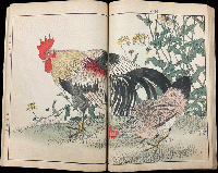 景年花鳥画譜