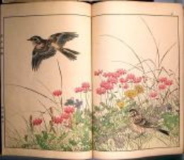 景年花鳥画譜 　 初版　全４冊