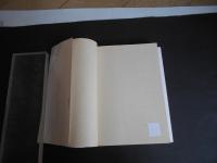 嫉妬と羨望の社会学