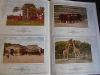 NEW YORK ZOOLOGICAL PARK　ニューヨークの動物園