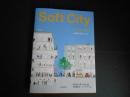 Soft City　ソフトシティ　人間の街をつくる