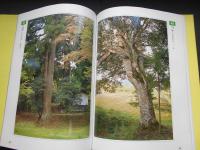 但馬の巨木　100選