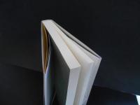 平成の天皇制とは何か　制度と個人のはざまで