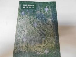 砂原美智子　藤原義江　京都労音コンサートパンフ