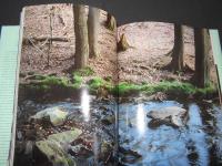THE SENSE OF WONDER　RACHEL CARSON　レイチェル カーソン写真集