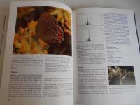 Die Schmetterlinge baden‐Wurttembergs　Band2　TagfalterⅡ