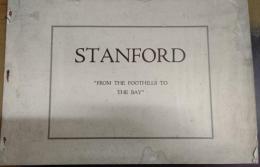 STANFORD   大学の写真帖
