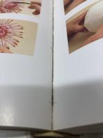 美彫　四季の宴菜譜