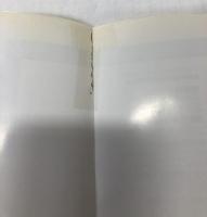 ブラウン運動と確率積分