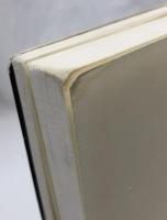 ピーターソン　活動銀河核