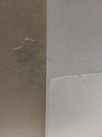 タレラン伝　上下