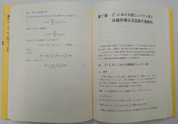 積分と函数解析 : 実函数から多価函数へ(丸山徹著