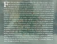 【科学洋書】Schneider l'histoire en force （シュナイダー力の歴史）