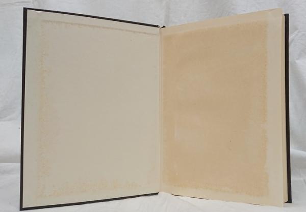 楕円型境界値問題 (1968年) (数学叢書〈3〉)