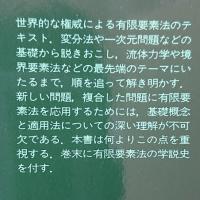 有限要素法