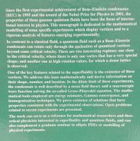 【物理学洋書】　Vortices in Bose-Einstein condensates（ボーズ・アインシュタイン凝縮体における渦）