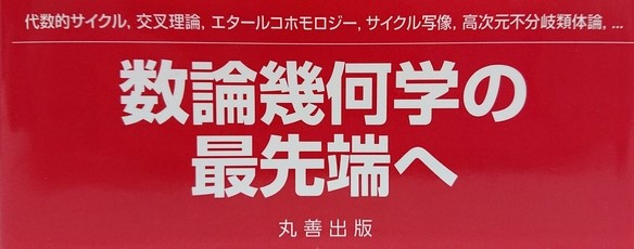 代数的サイクルとエタールコホモロジー(斎藤秀司ほか) / 古本、中古本 