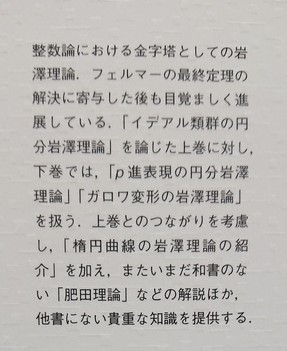 岩澤理論とその展望 上下 2冊セット(落合理) / 古本、中古本、古